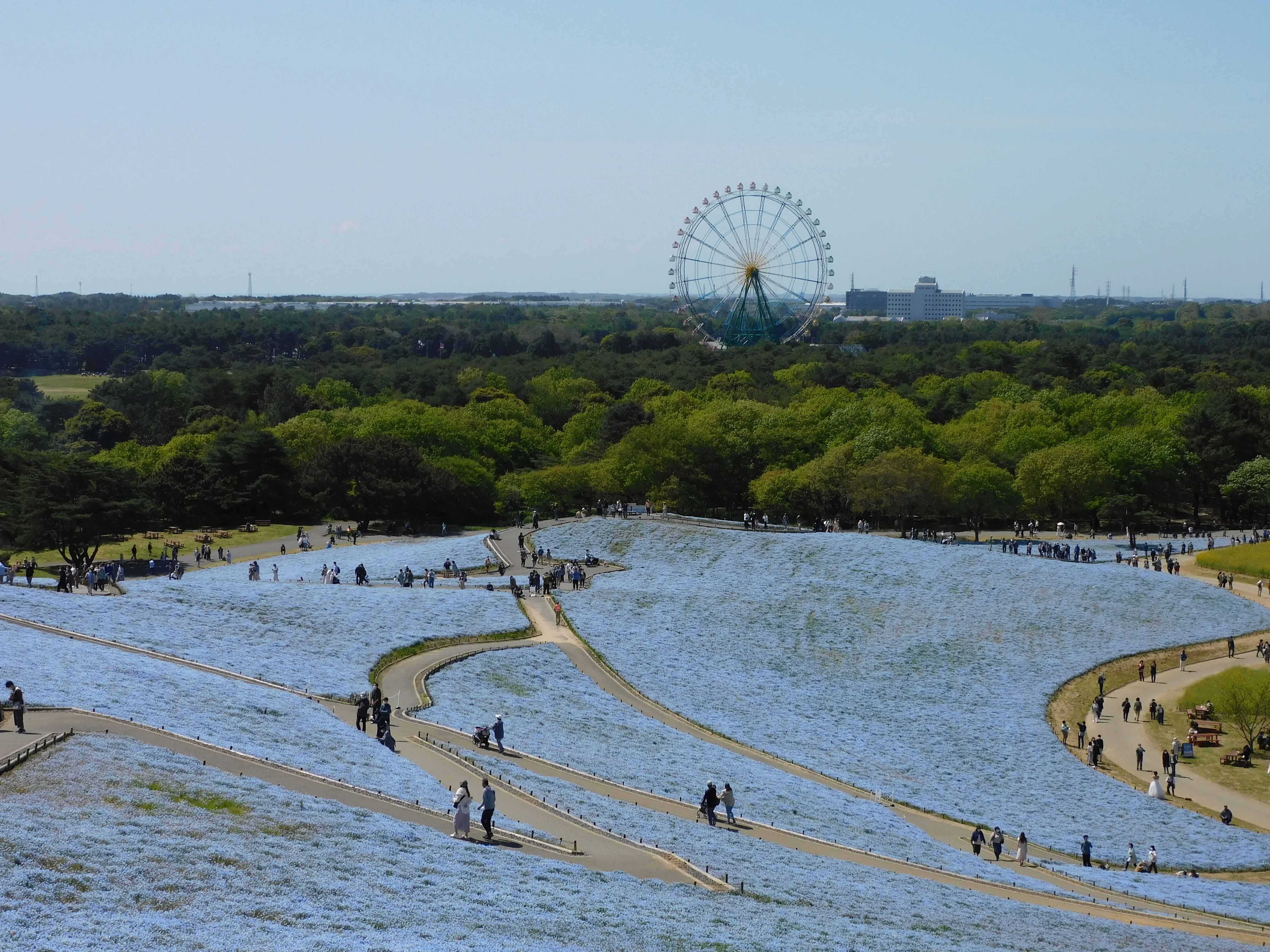 【2026年版】ひたちなか市 移住ガイド｜東京通勤・子育て支援・暮らしのリアル