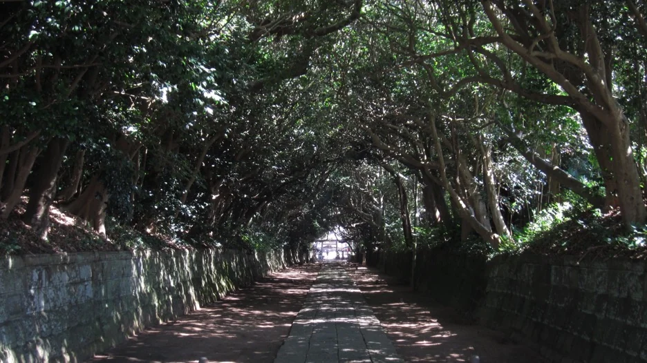 酒列磯前神社ガイド｜磯崎駅徒歩圏の海辺の神社とアクセス