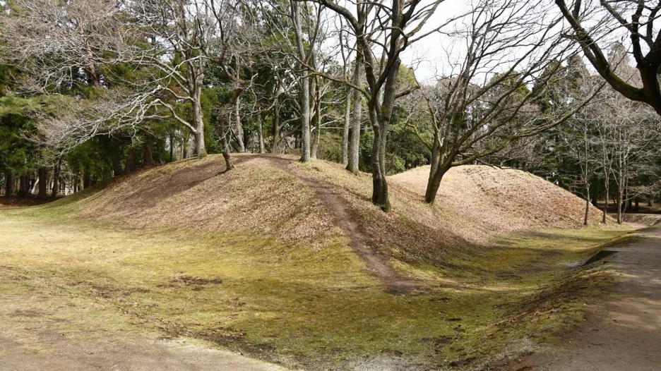 ひたちなか市埋蔵文化財調査センターガイド｜無料で見られる出土資料と虎塚古墳の入口