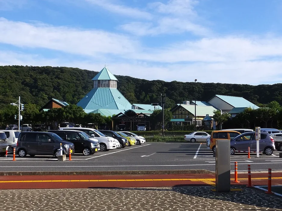 【2026年版】南房総・館山の道の駅ガイド10選｜びわ・花摘み・海辺の芝生・廃校リノベまで