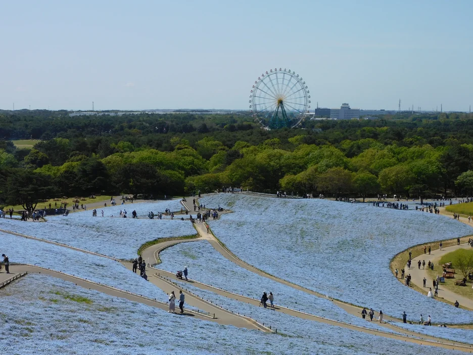 【2026年版】ひたちなか市 移住ガイド｜東京通勤・子育て支援・暮らしのリアル